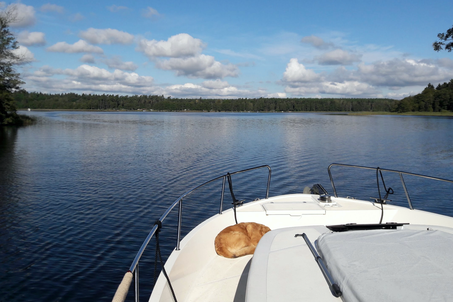 Ausblick auf Fürstenberg/Havel